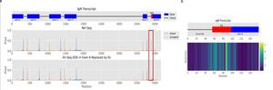 AI Attention Map Reveals RNA Splicing Regulatory Regions