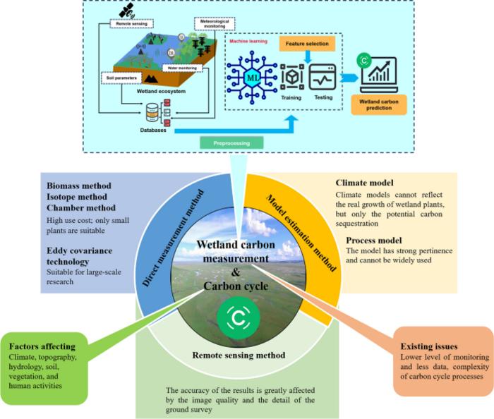 Estimation methods of wetland carbon sink and factors influencing wetland carbon cycle: a review