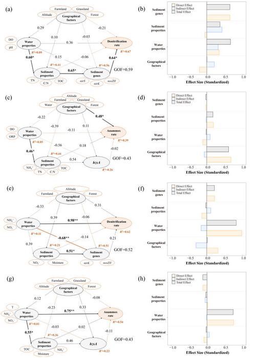 PLS-PM demonstrates the impacts of geographic and micro-environmental factors on the denitrification and anammox rates in (a)–(d) summer, and (e)–(h) winter.
