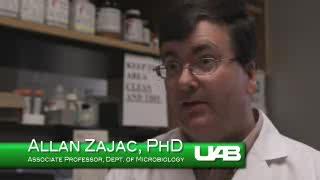 Chronic Infection and Interleukin-21