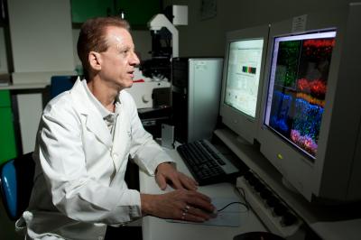 Donald A. Fox, University of Houston