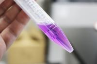 Schizorhodopsin