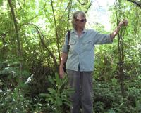 Dr. Anne  Brooke, University of Guam