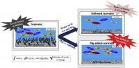 Graphical Abstract