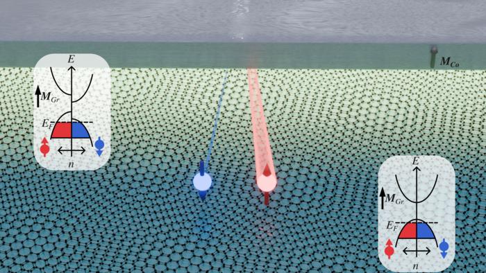 Graphene spin filtering via magnetic proximity