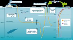 New Study Reveals Hidden Ocean Chemistry