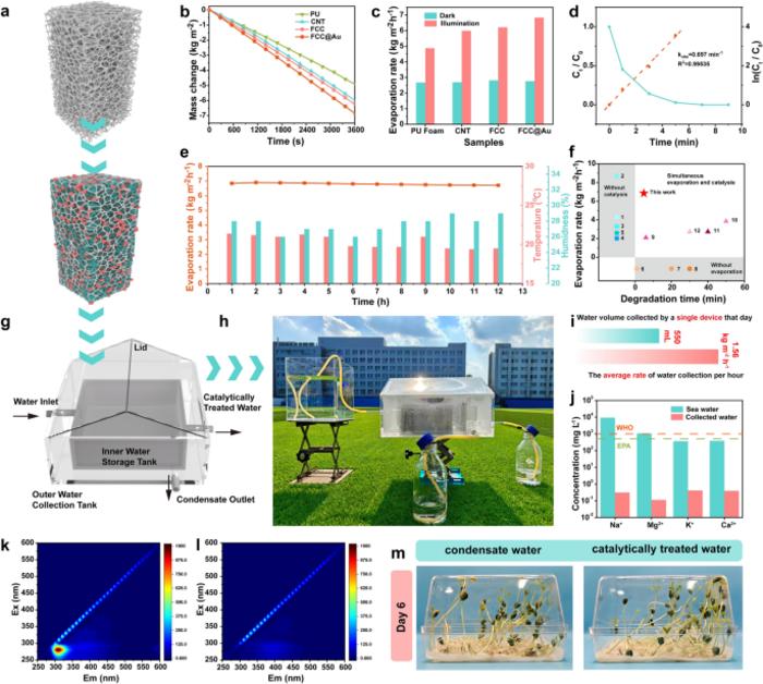 Evaporation, catalytic performance and cycling stability of the FCC@Au/PU 3D evaporator.