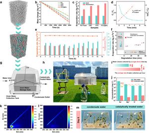 Evaporation, catalytic performance and cycling stability of the FCC@Au/PU 3D evaporator.