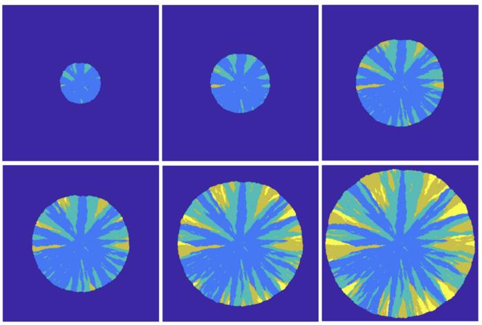 cell mutation simulation