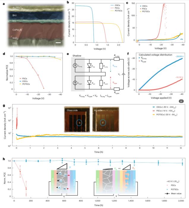 PolyU develops durable shade-stable perovskite–organic tandem solar cells, advancing thin-film solar technology application