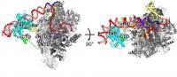 Crystal Structure
