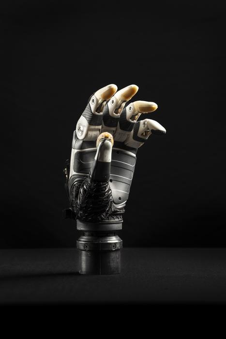 bionic hand