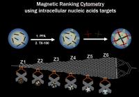 Microfluidic Cell Separation and Analysis Platforms