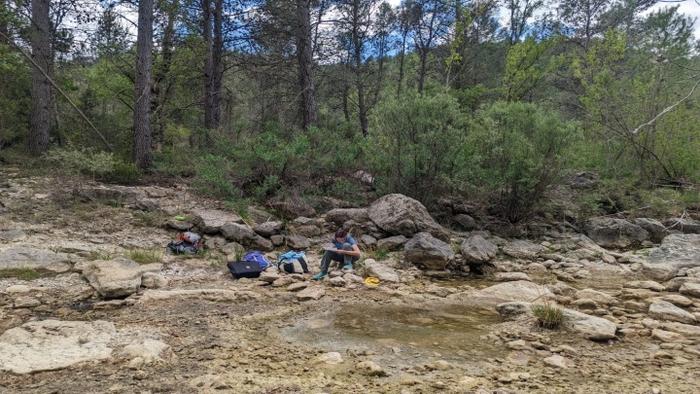 Los ríos secos, una fuente de biodiversidad