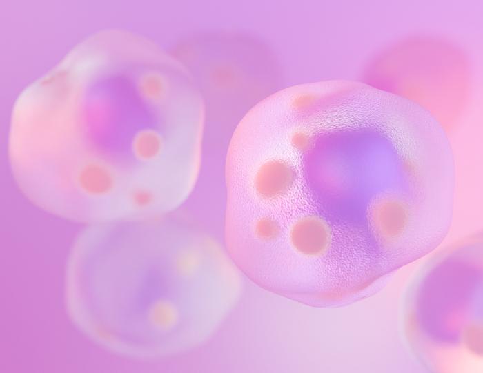 Gut Immune Cells