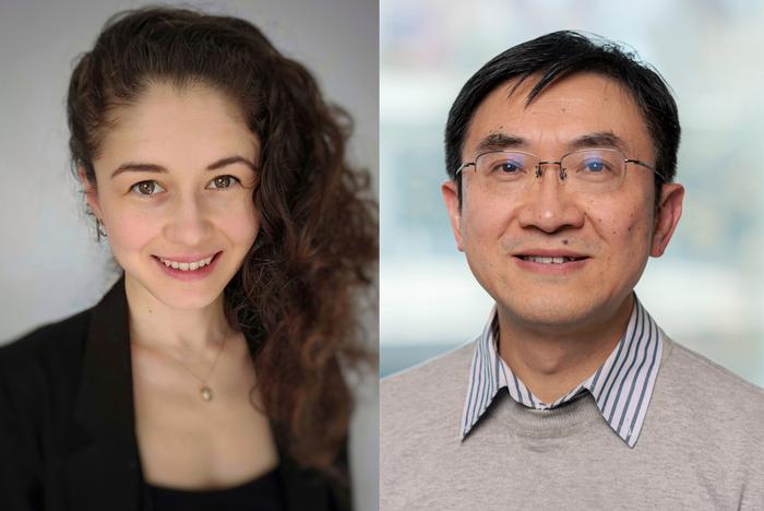 Kobayashi Frisk and Zou