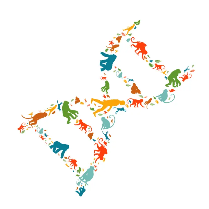 New study reveals hidden regulatory roles of “junk” DNA