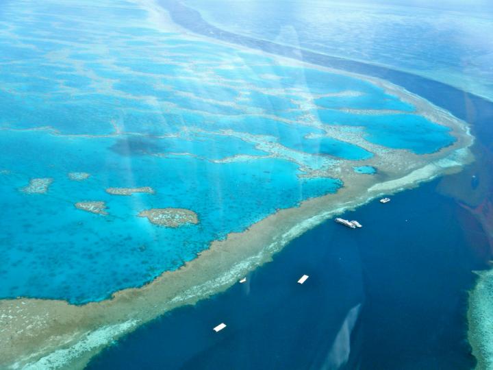 Multiple Communities, One Reef (2 of 2)