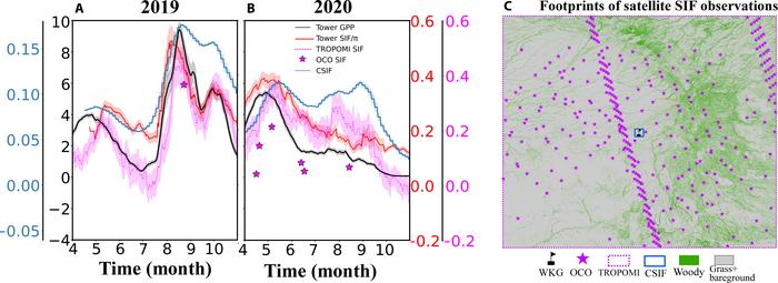 Time series of GPP and tower- and satellite-derived SIF in 2019 and 2020, with satellite observation footprints.