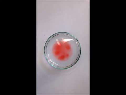Cleaning up Oil Using Magnets