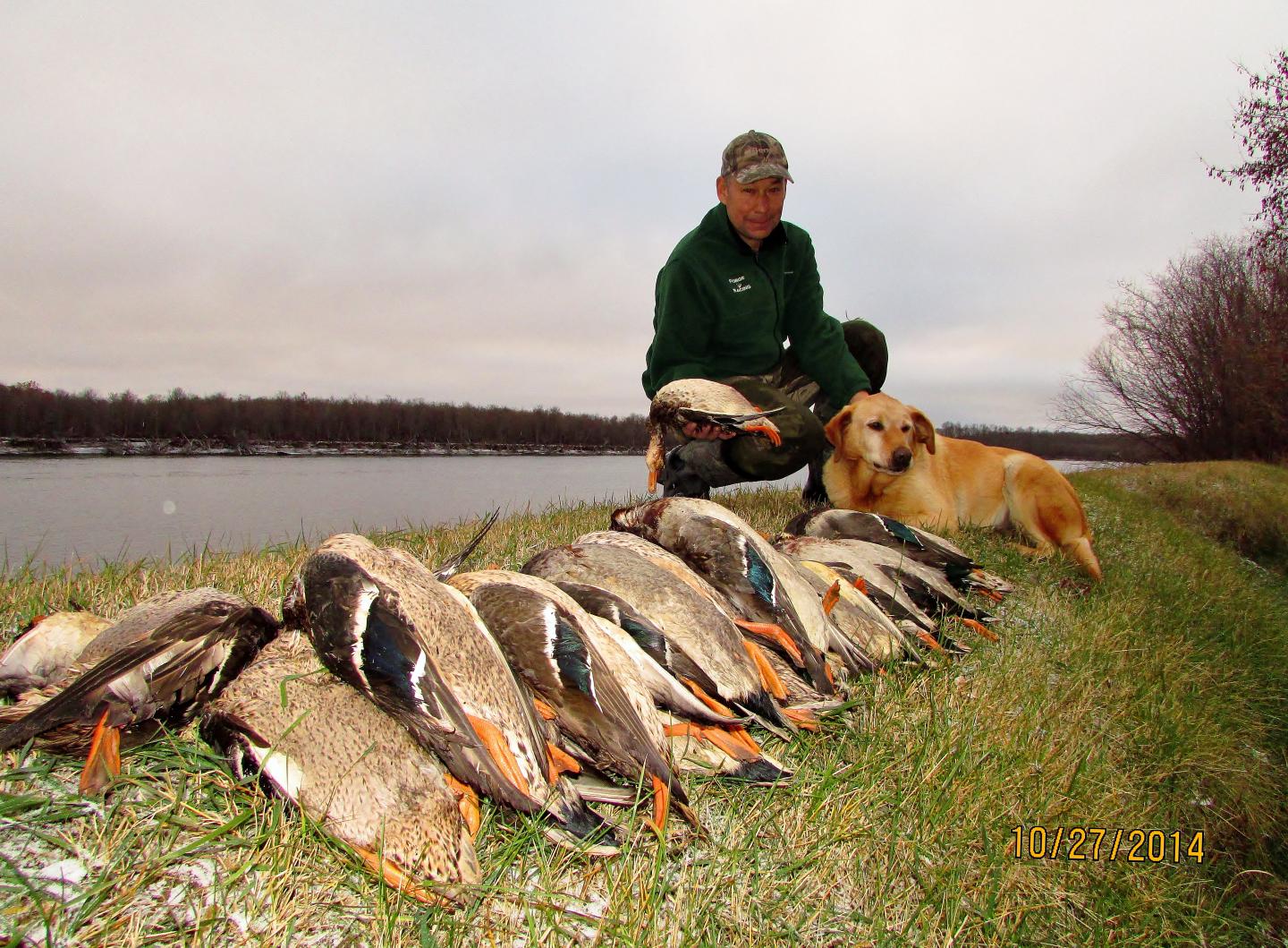 Harvesting Ducks for Science