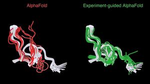 Experimental Guidance Improves Structural Predictions