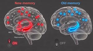 Why Do Dementia and Cognitive Decline Patients Remain Stuck in Past Memories?… KAIST Identifies Memory-Switching Mechanism​