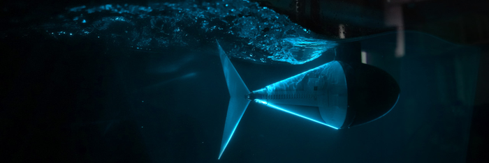 Robotic Tuna with Tunable Tail