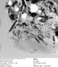 Carbon Nanotubes Appear in Vehicle Exhaust