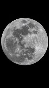 KAIST-UEL Team Develops “Origami” Airless Wheel to Explore Lunar Caves