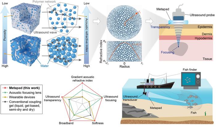 Soft hydrogel enables transparent, broadband ultrasound in tissue and water