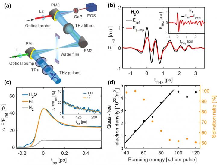 Electron solvation in photoionized water