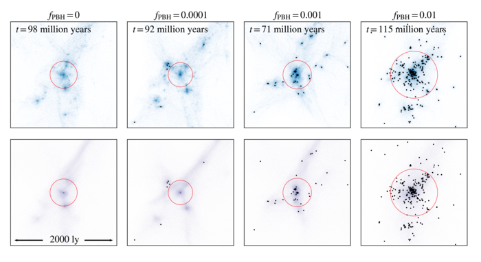 Matter Fields