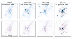 Matter Fields