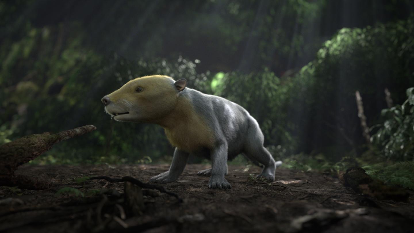 New Colorado Fossil Record Documents Life's Rebound After Cretaceous-Paleogene Extinction (12 of 12)