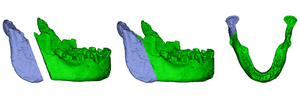 Banyoles reconstruction