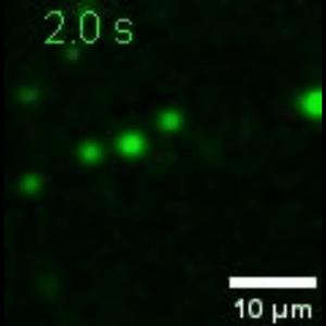 Movie 1