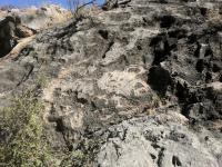 Petroglyphs