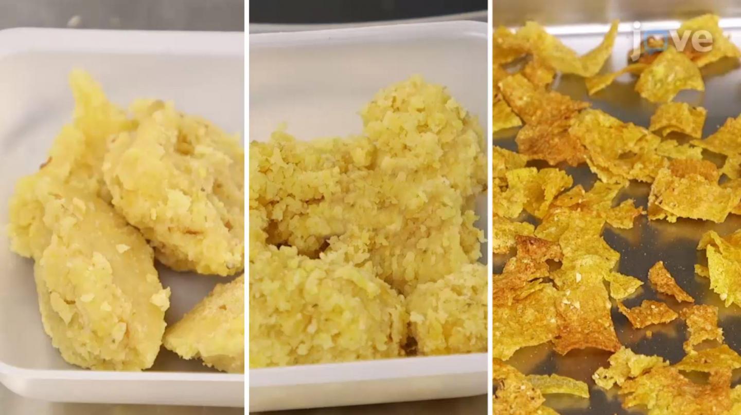 Corn Flake Processing