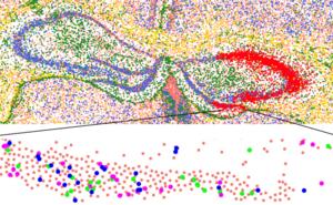 Image - mutated cells