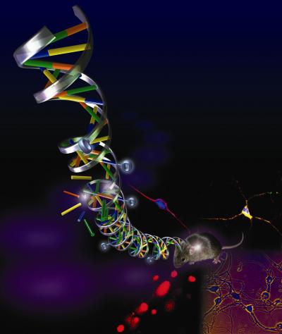 Broken Helix