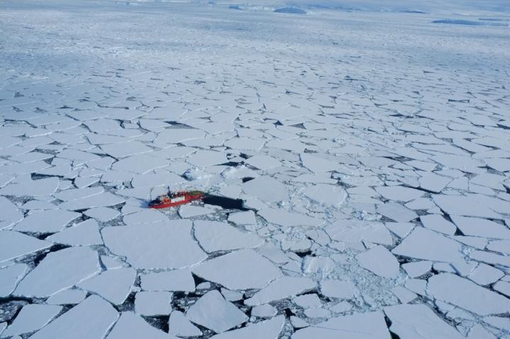 Sea Ice