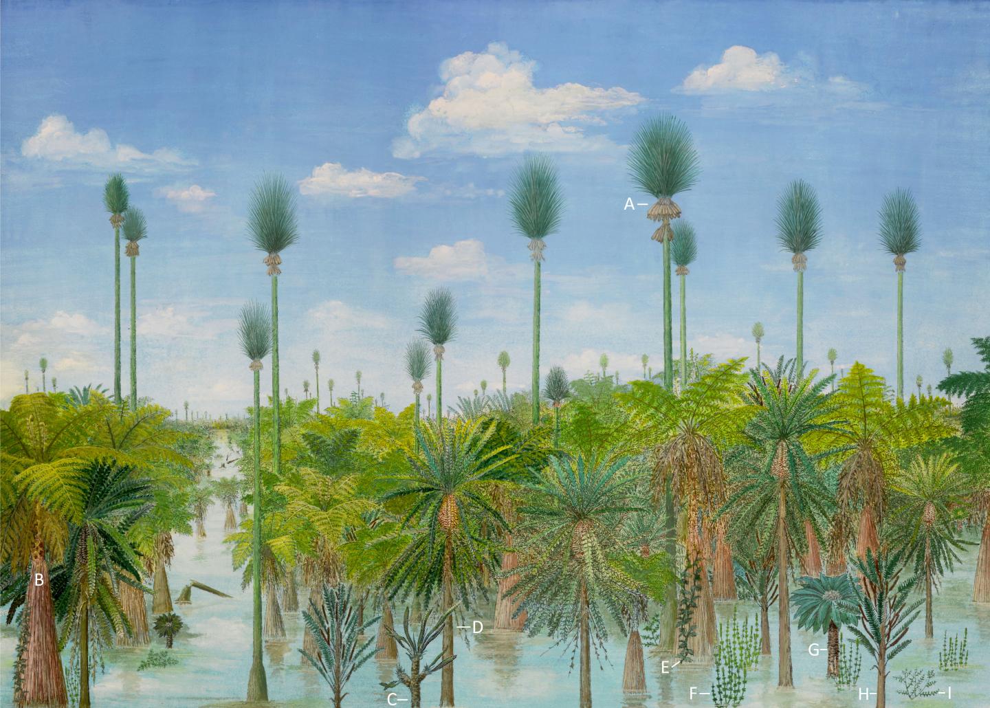 Reconstruction 