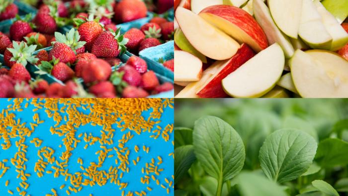 In healthy aging, carbohydrate quality counts