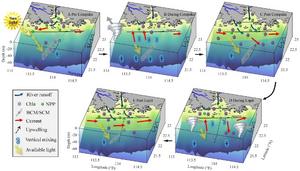 Schematic diagram of Chla variations and primary mechanisms during successive typhoon Cempaka and Lupit