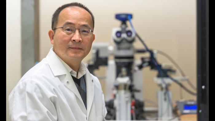 Dr. Jun Wang