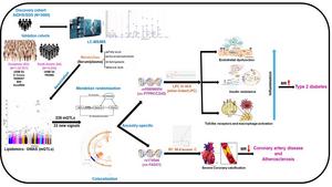 Genetic study in Indians finds new pathways involved in cardiometabolic disease