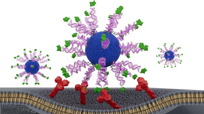SNA illustration