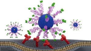 SNA illustration