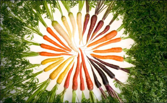 Carrot Colors